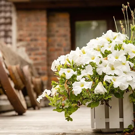 Apartment Le Grenier Du Photographe