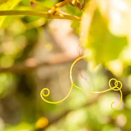 Le Grenier Du Photographe
