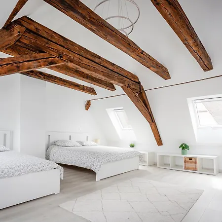 Le Grenier Du Photographe Apartment Kaysersberg-Vignoble