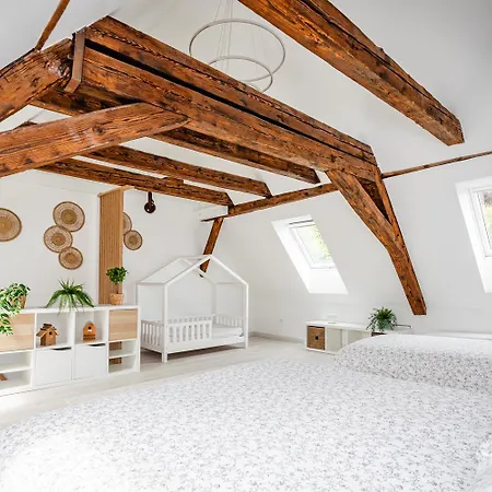 Lejlighed Le Grenier Du Photographe Kaysersberg-Vignoble