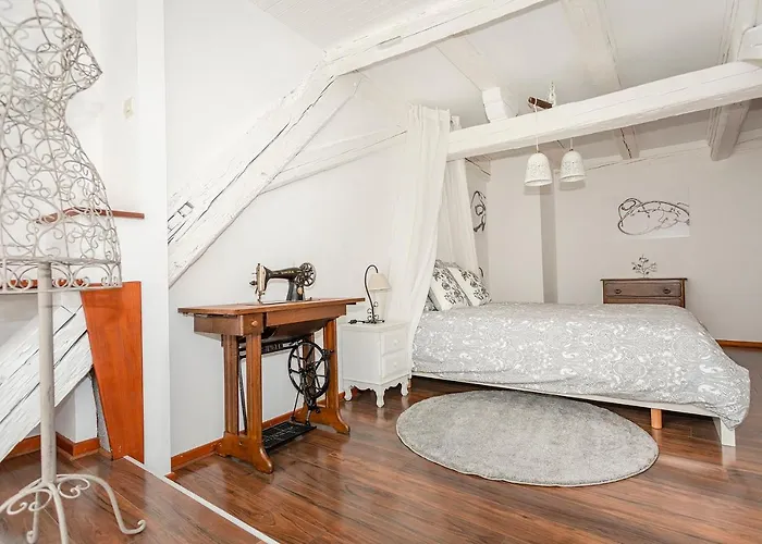 Le Grenier Du Photographe Kaysersberg-Vignoble