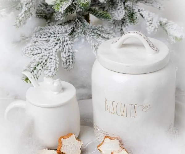 Apartment Le Grenier Du Photographe Kaysersberg-Vignoble