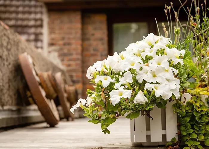 Apartment Le Grenier Du Photographe