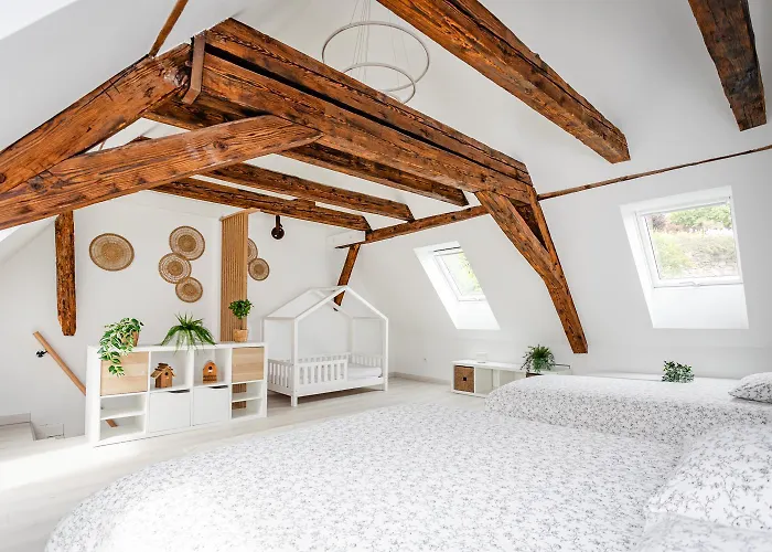 Apartment Le Grenier Du Photographe Kaysersberg-Vignoble